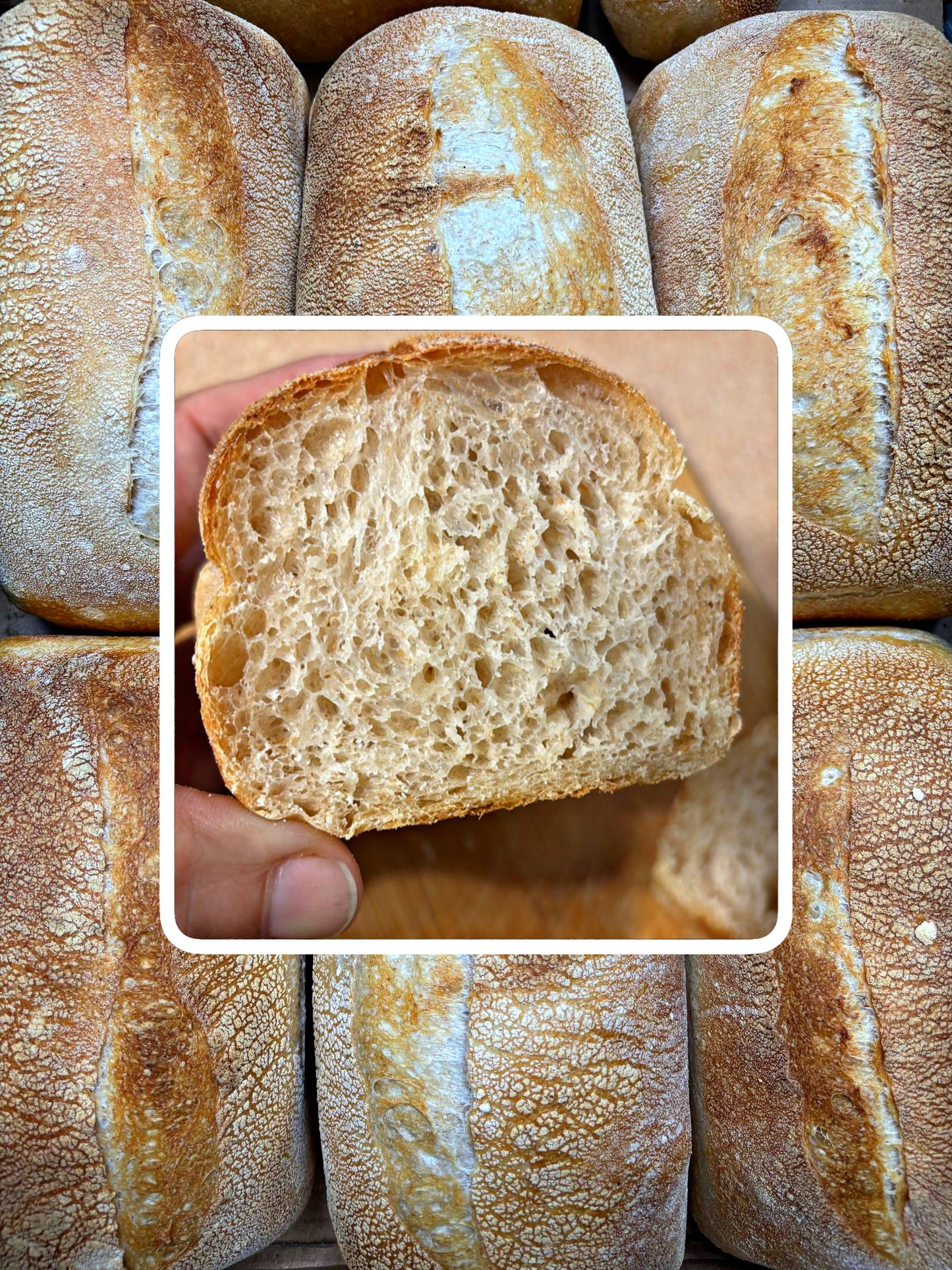 Doña Filo Sourdough