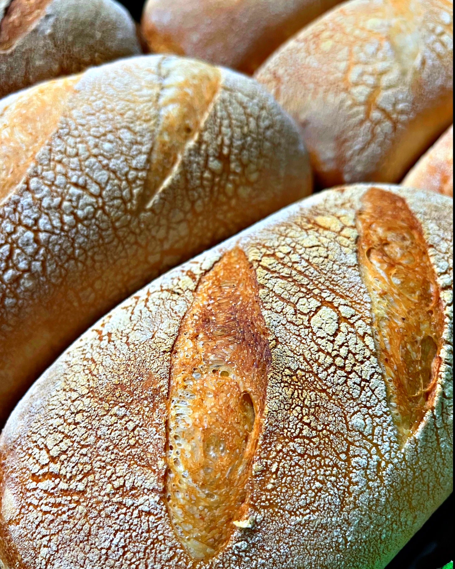 Doña Virginia Sourdough