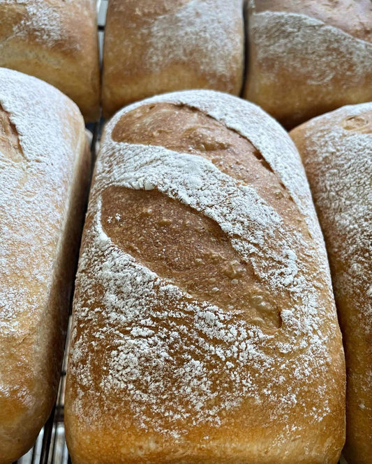 Doña Virginia Sourdough