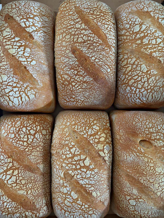 Doña Virginia Sourdough