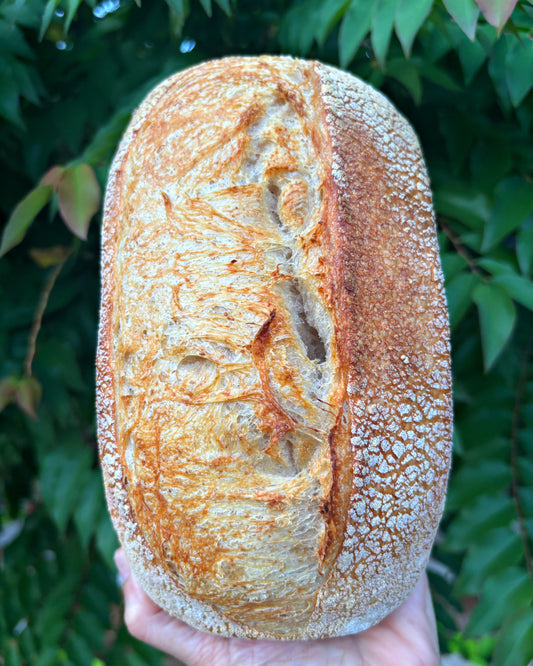 Doña Filo Sourdough